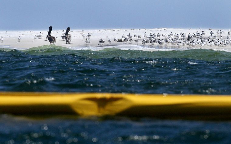Alquiler de yates en el Golfo de México. Barcos baratos de alquiler en México. Yates lujosos de alquiler