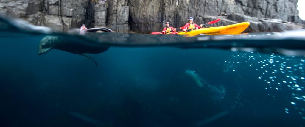 Alquiler de yates en Hobart y Tasmania